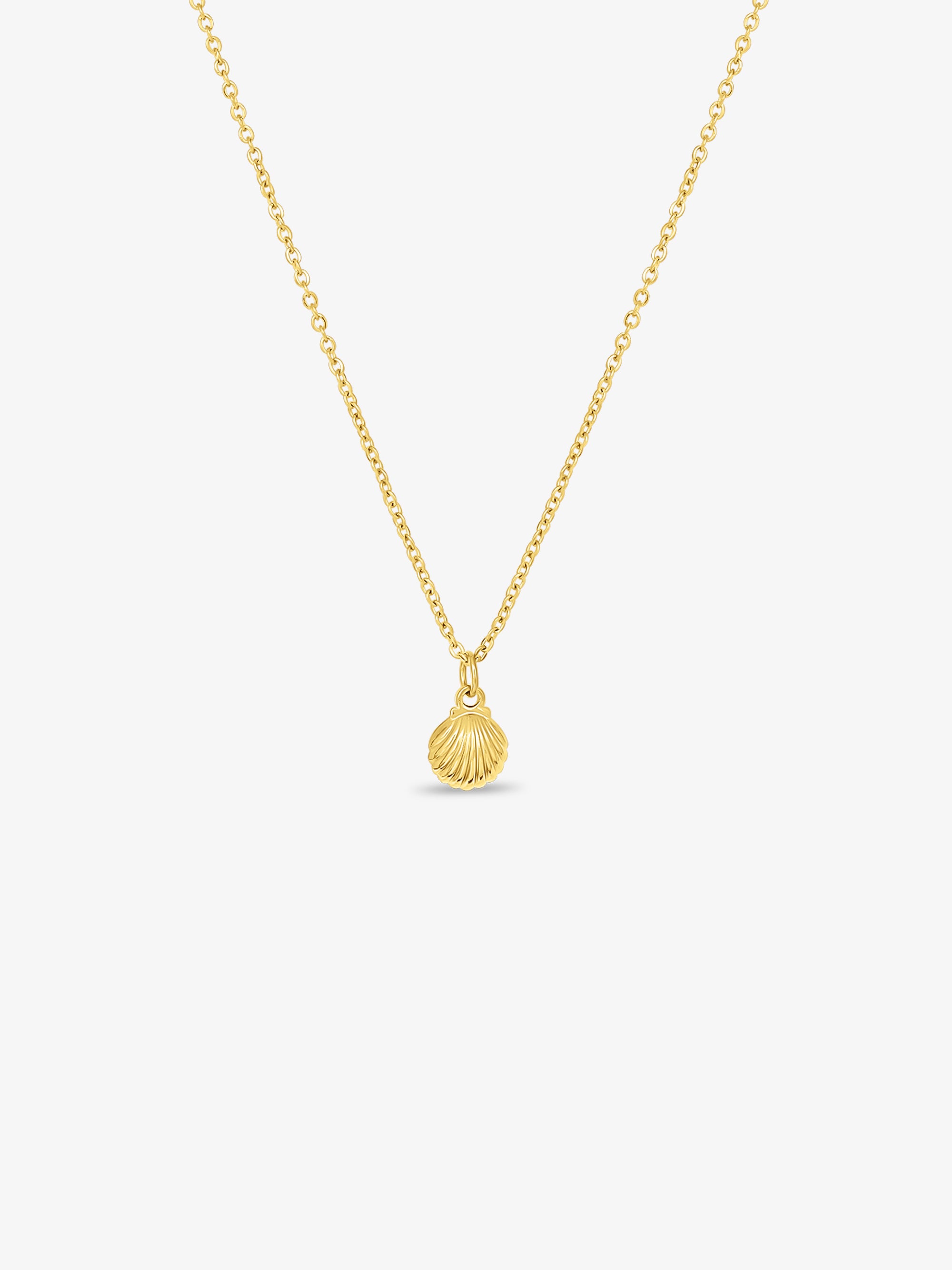 Seashell Petite Necklace