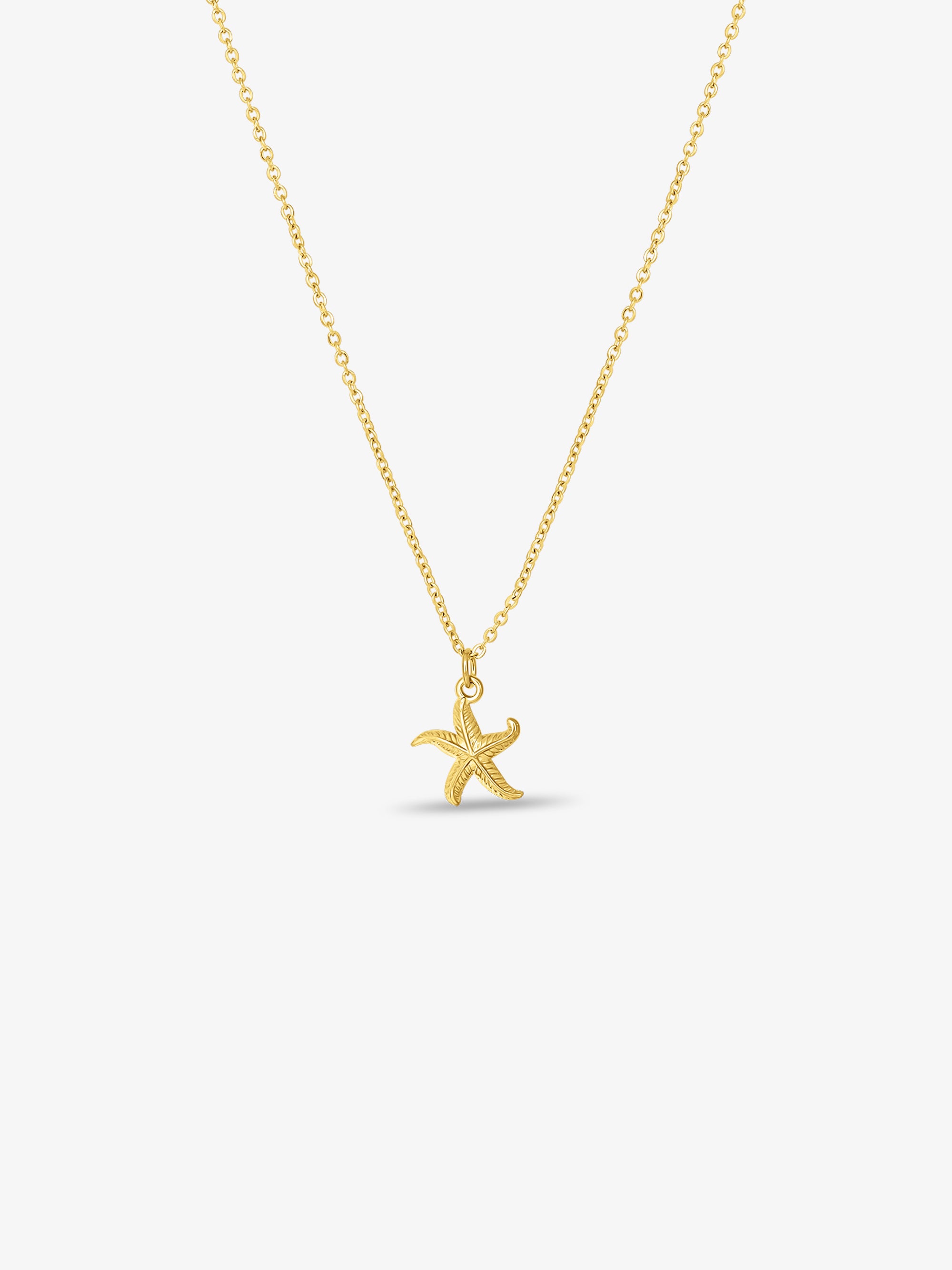 Starfish Petite Necklace