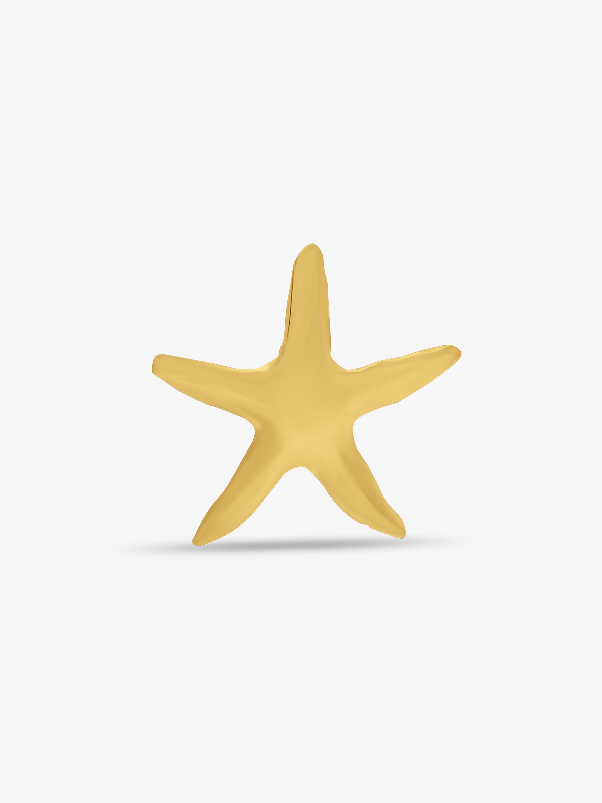 Starfish Brooch - PREORDER