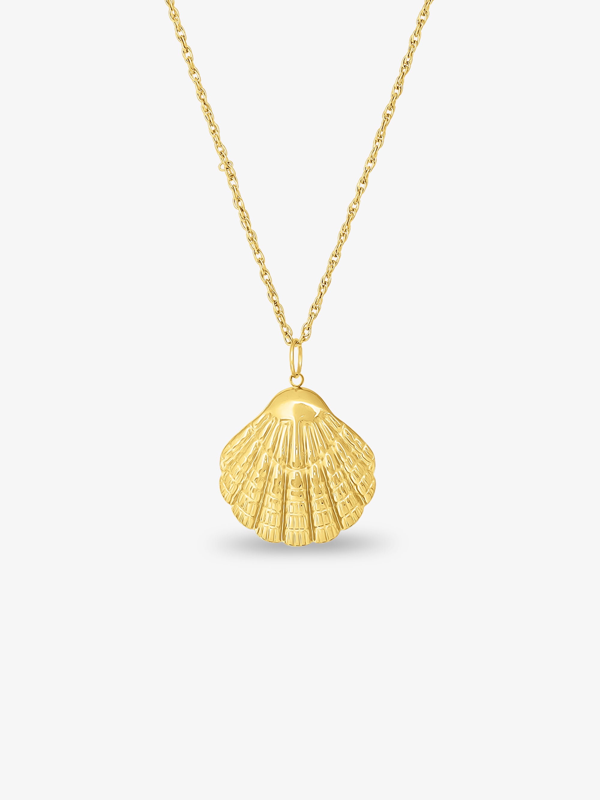 The Shell Necklace