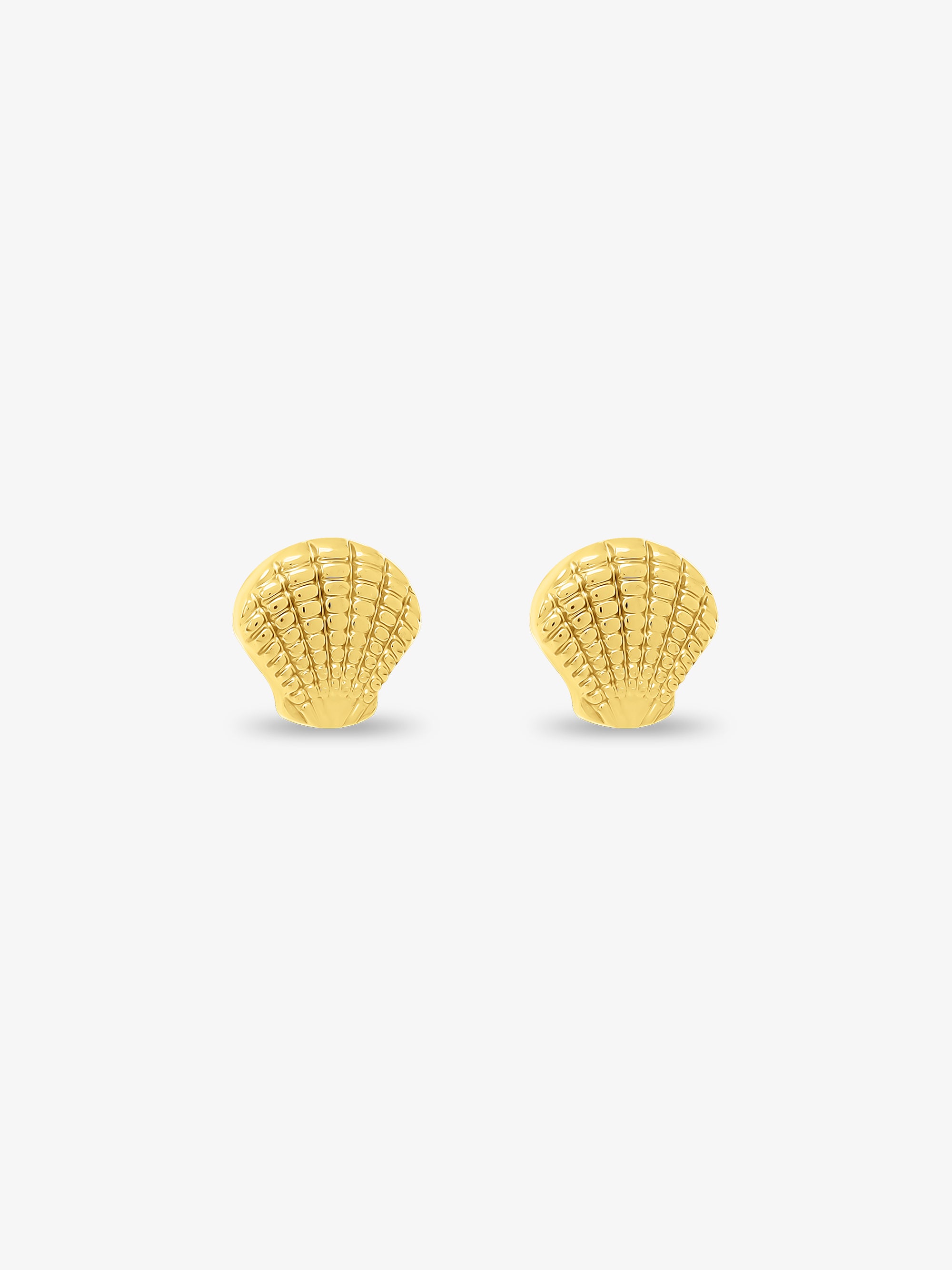 Mini Shell Stud Earrings