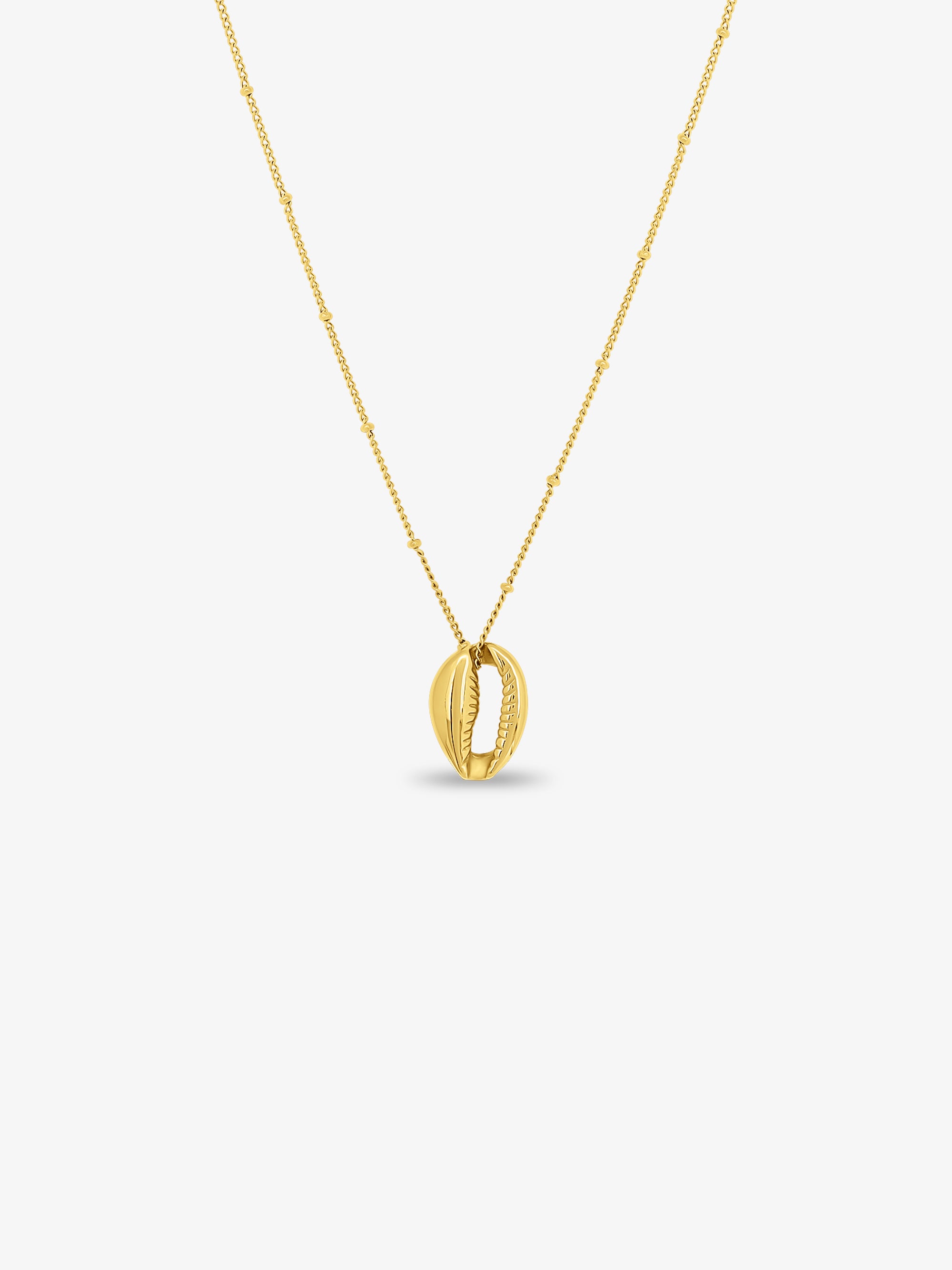 The Conch Necklace