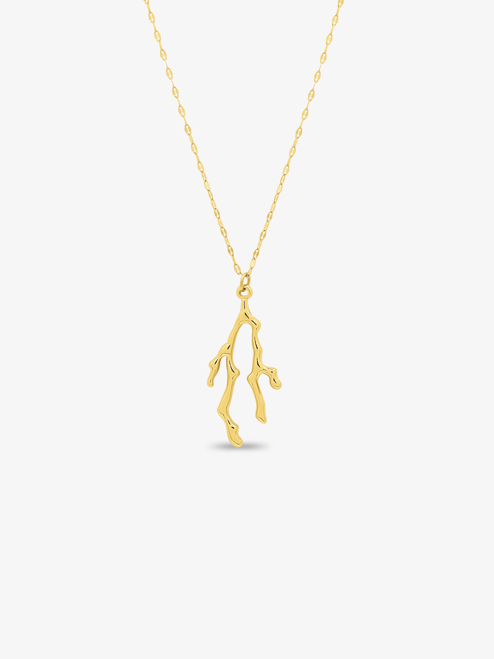 The Coral Necklace