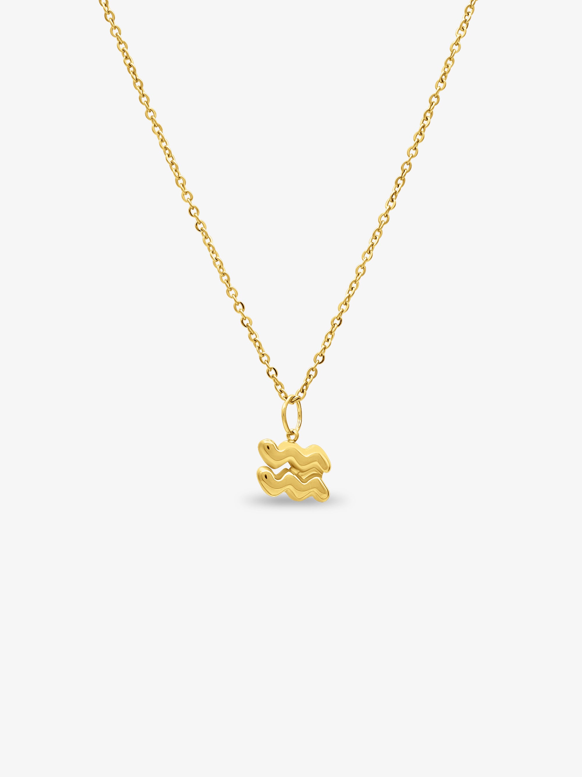 Stella Star Sign Necklace - Aquarius