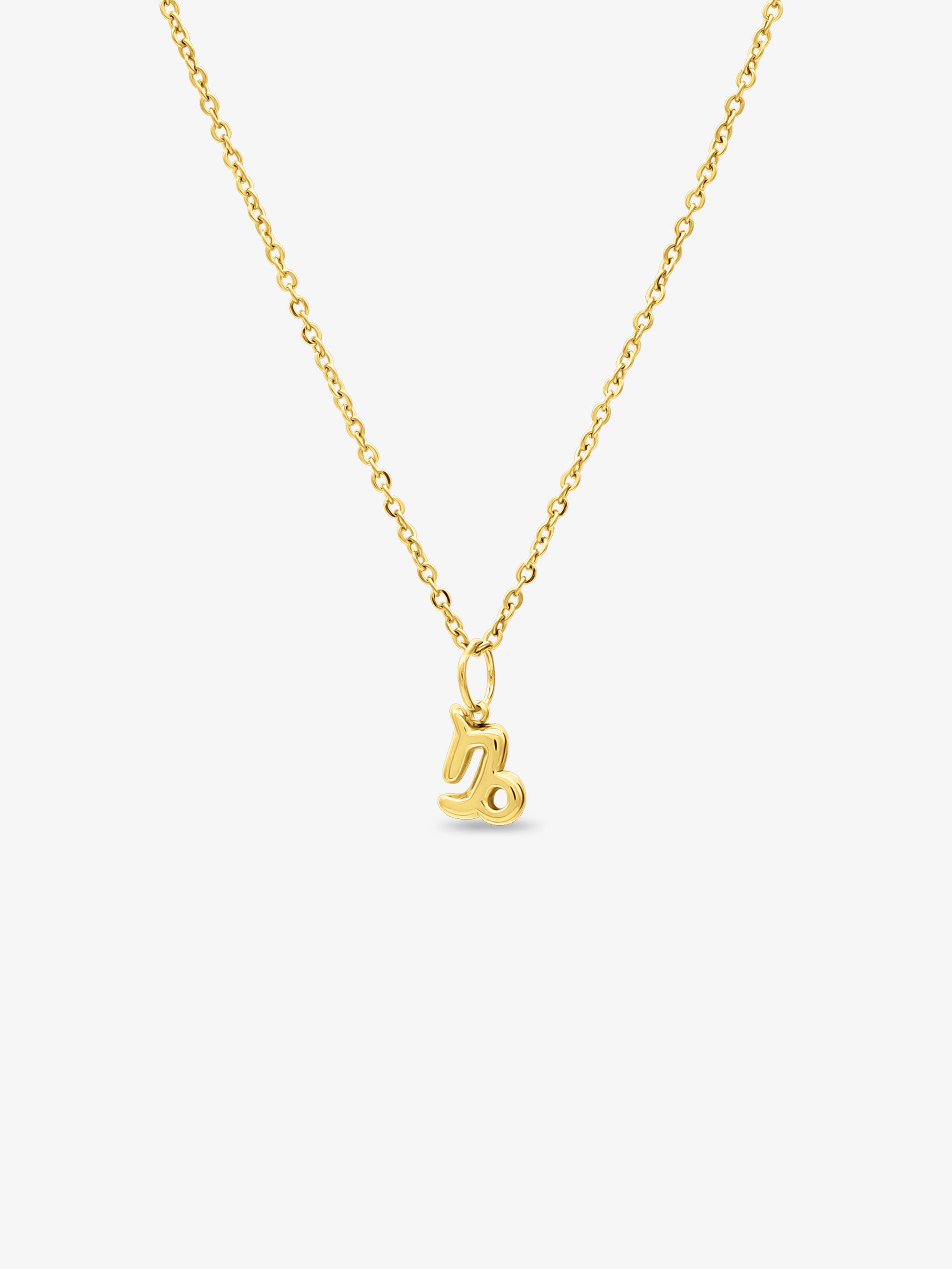 Stella Star Sign Necklace - Capricorn